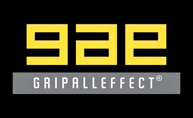 logo-gripalle